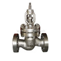 Duplex Steel Bolt Bonnet Globe Valve